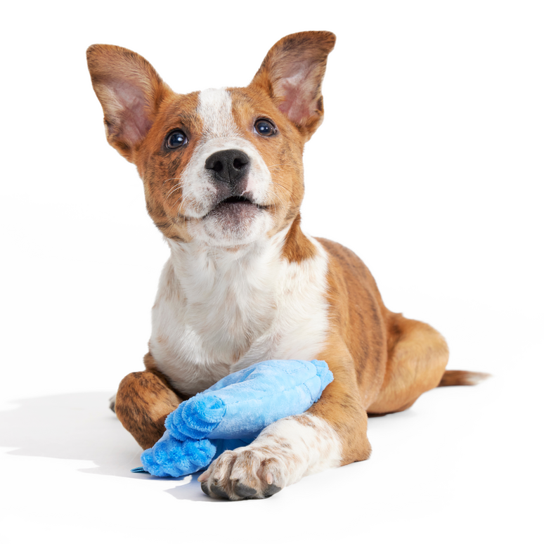 Squeaky Clean Mom Jeans Plush Tug Dog Toy