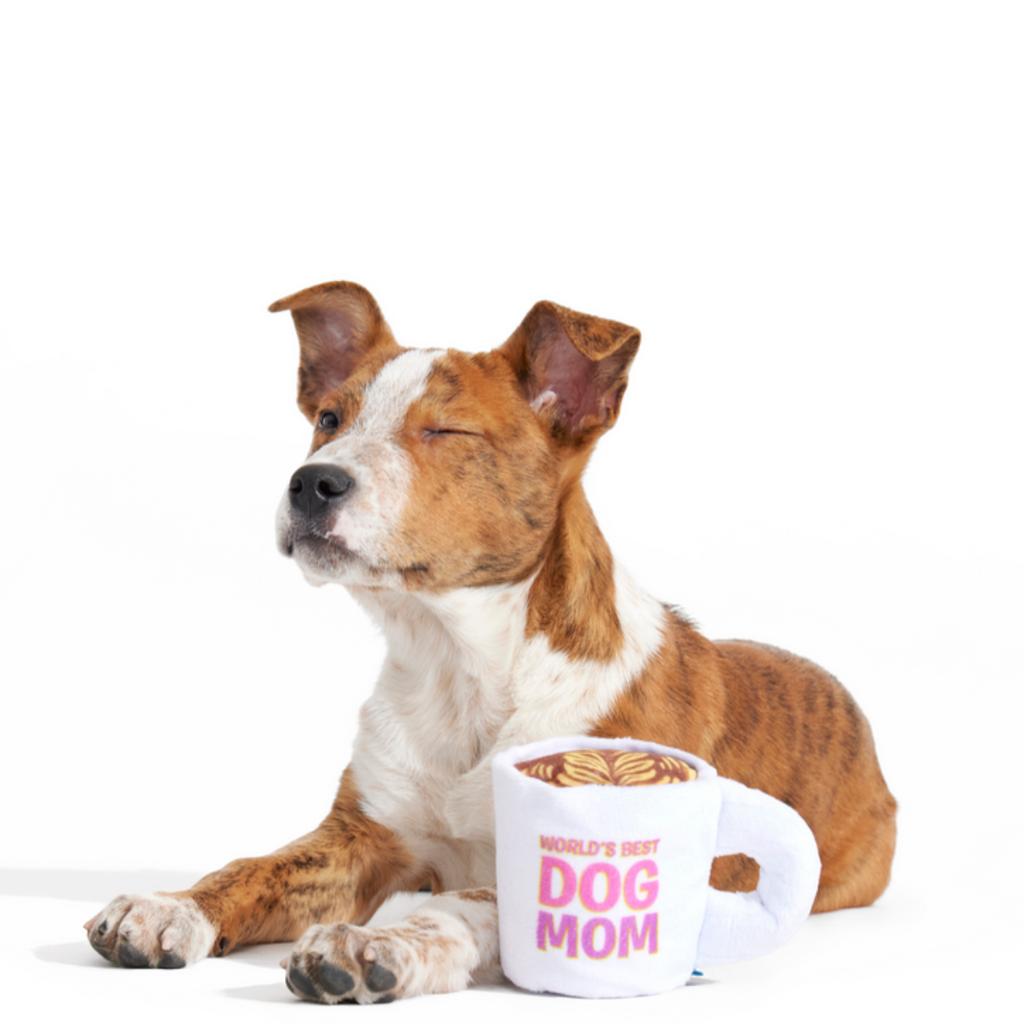 World's Best Dog Mom Mug Plush Tug Dog Toy