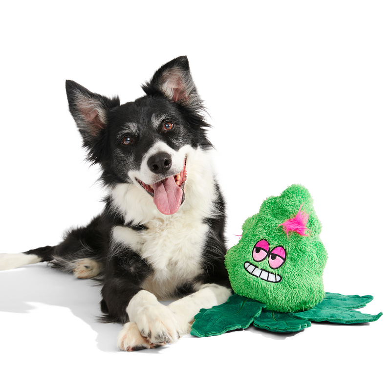 Foggy Green Giant Extra-Large Plush Dog Toy