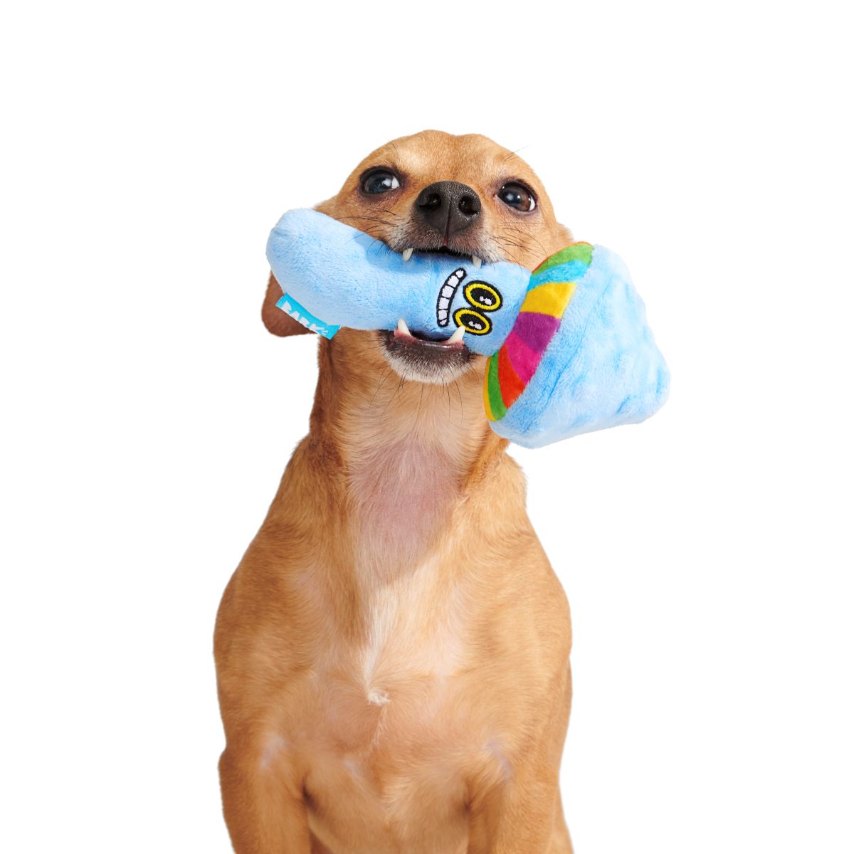 Zoomie Shroomie Plush Tug Dog Toy