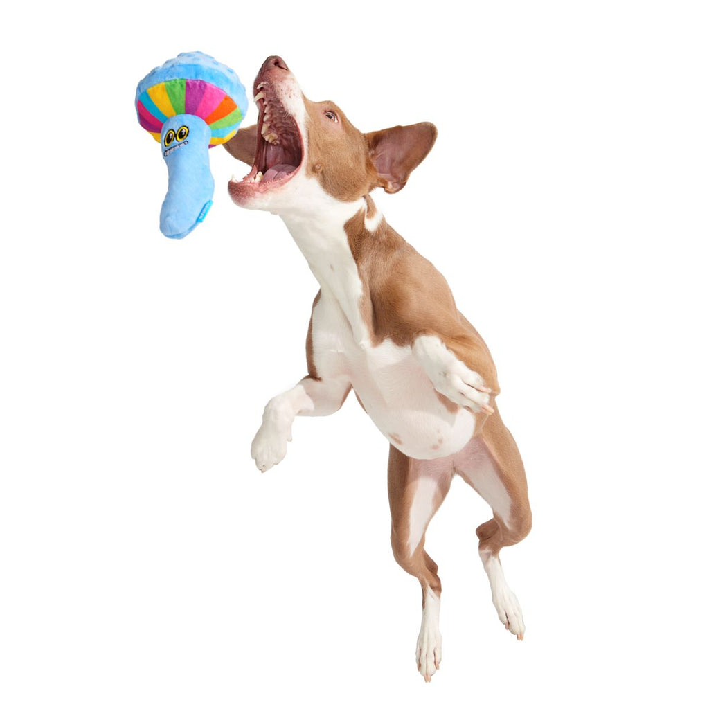 Zoomie Shroomie Plush Tug Dog Toy