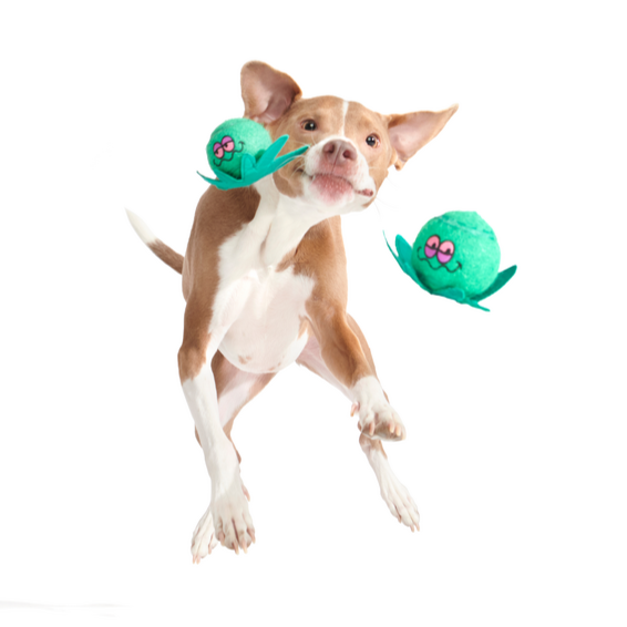 Dope Tennis Balls Plush Multi-Part + Fetch Dog Toy