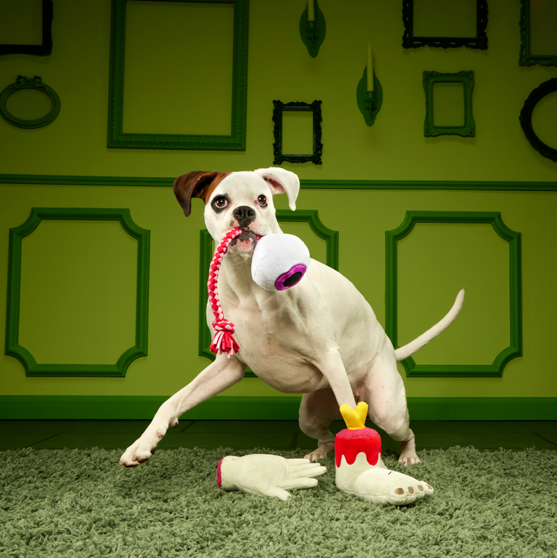 The Part-y Pack Super Chewer Durable Multi-Part + Tug Dog Toy