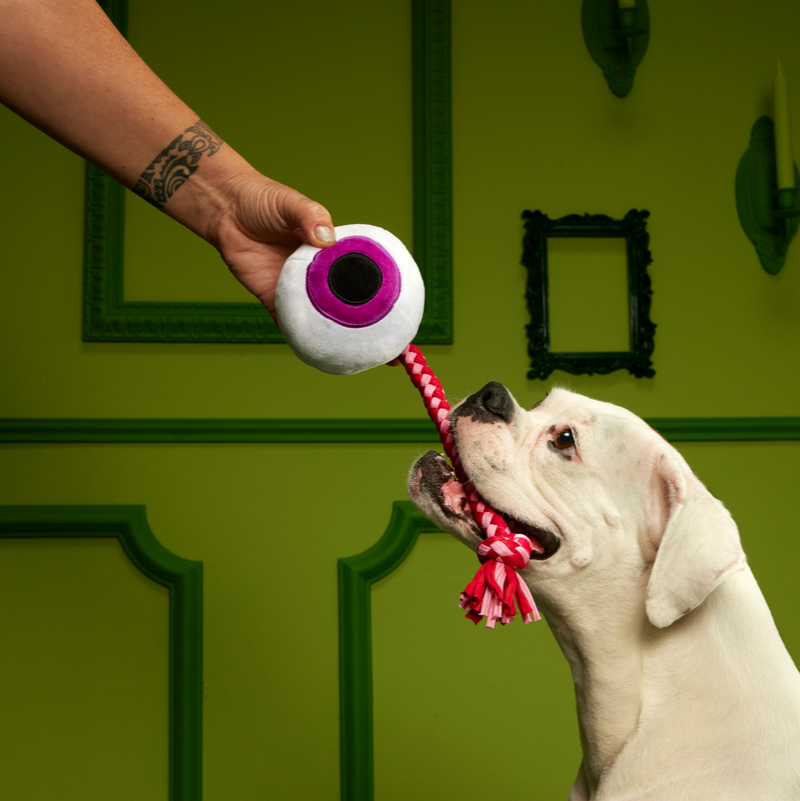 The Part-y Pack Super Chewer Durable Multi-Part + Tug Dog Toy