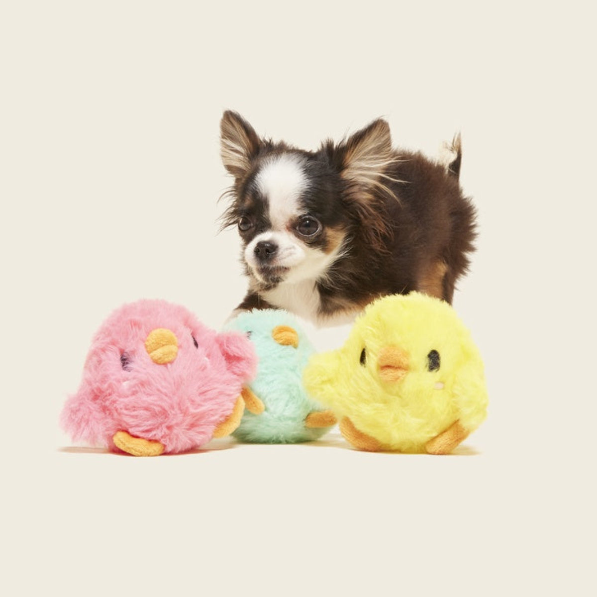 The Licksy Chicks Plush Multi-Part + Fetch Dog Toy