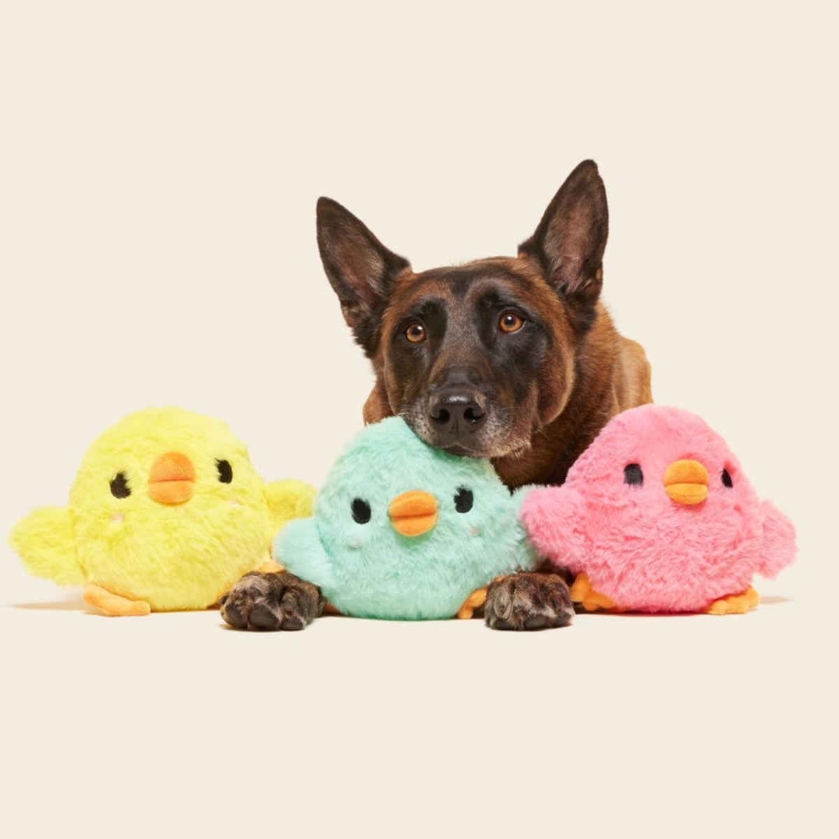 The Licksy Chicks Plush Multi-Part + Fetch Dog Toy
