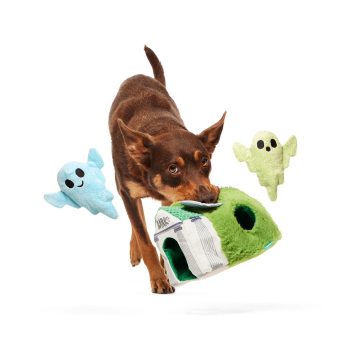 Now You See 'Em Mausoleum Plush Multi-Part + Enrichment Dog Toy