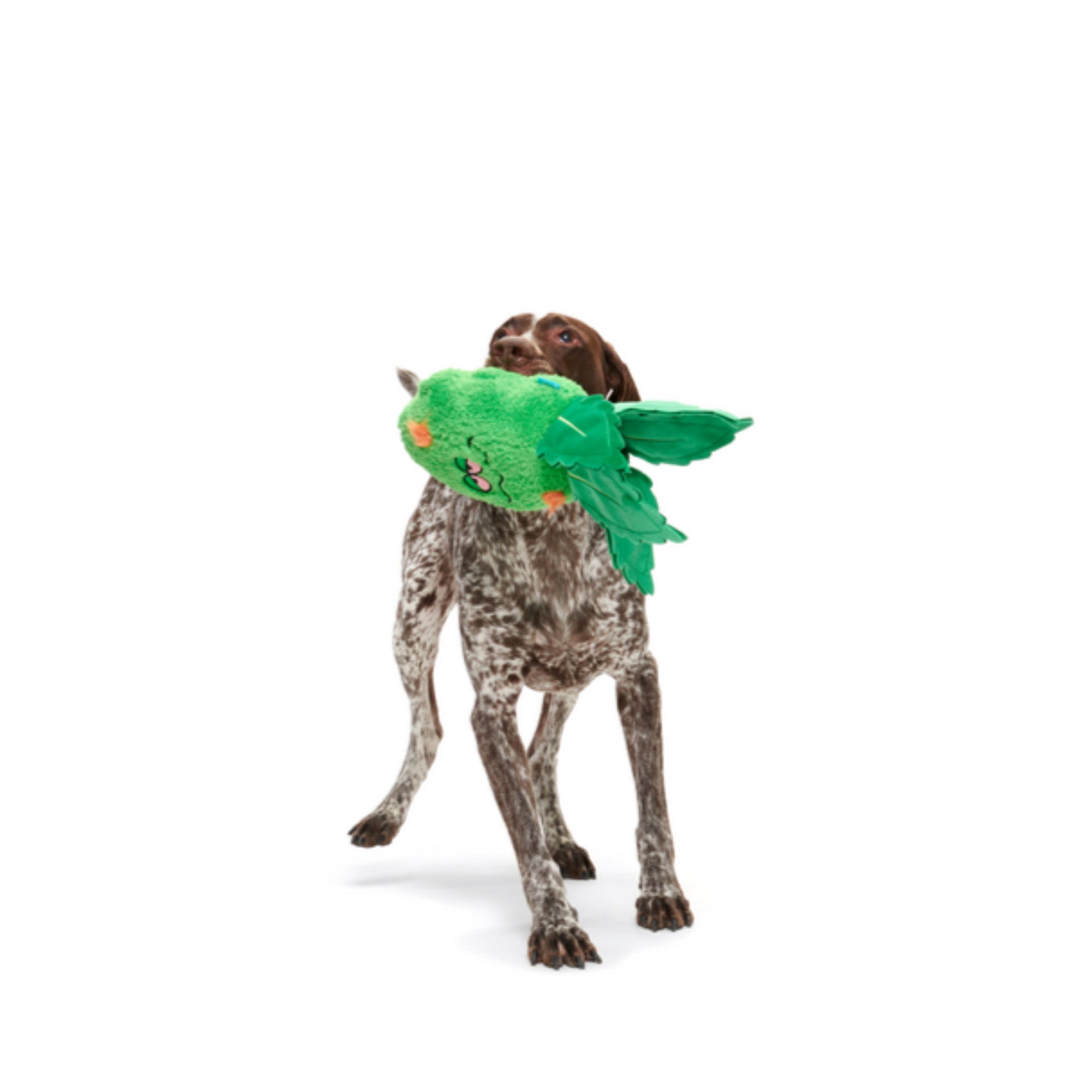 Rip Von Dankle Plush 2-in-1 Rip and Reveal Dog Toy