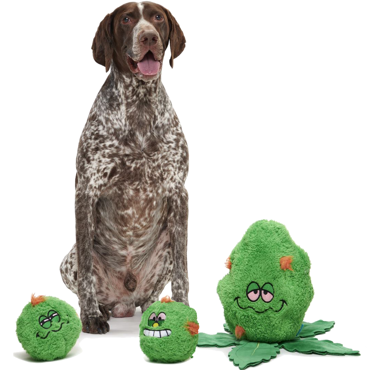Rip Von Dankle Plush 2-in-1 Rip and Reveal Dog Toy