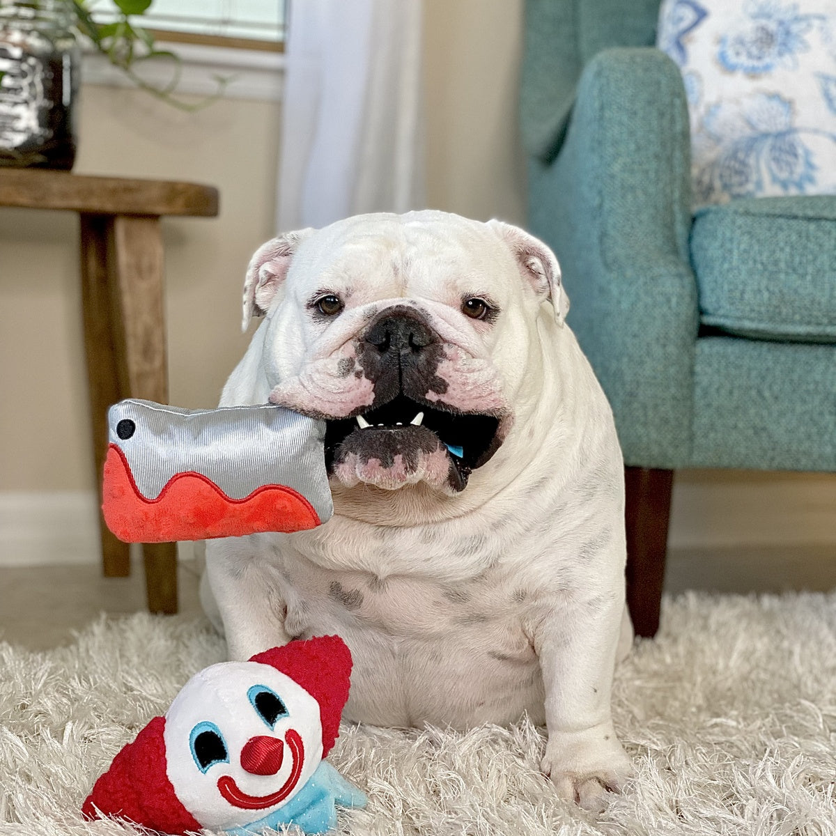 Last Laugh Bundle Plush Multi-Part Dog Toy