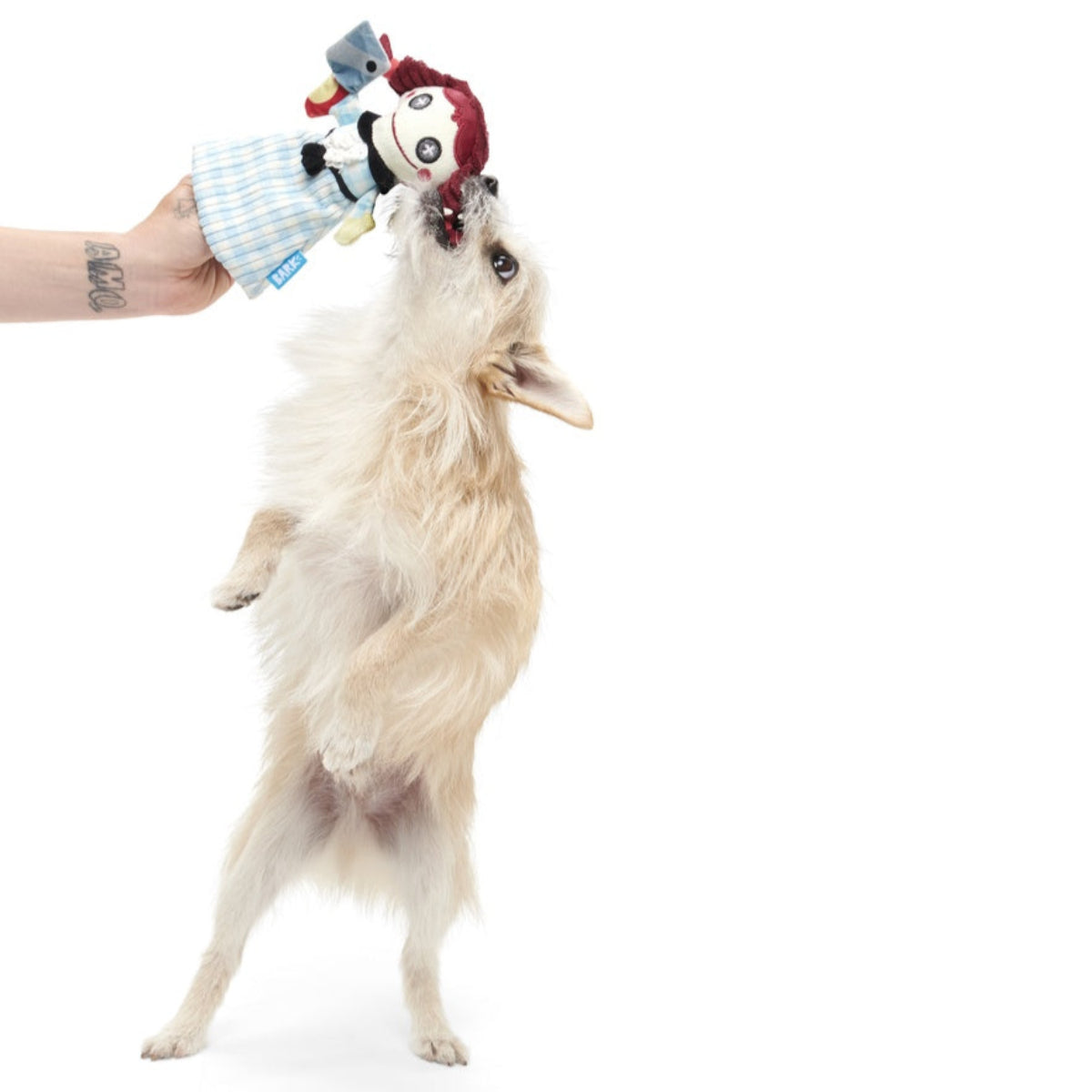 Tragedy Ann Plush Tug Dog Toy