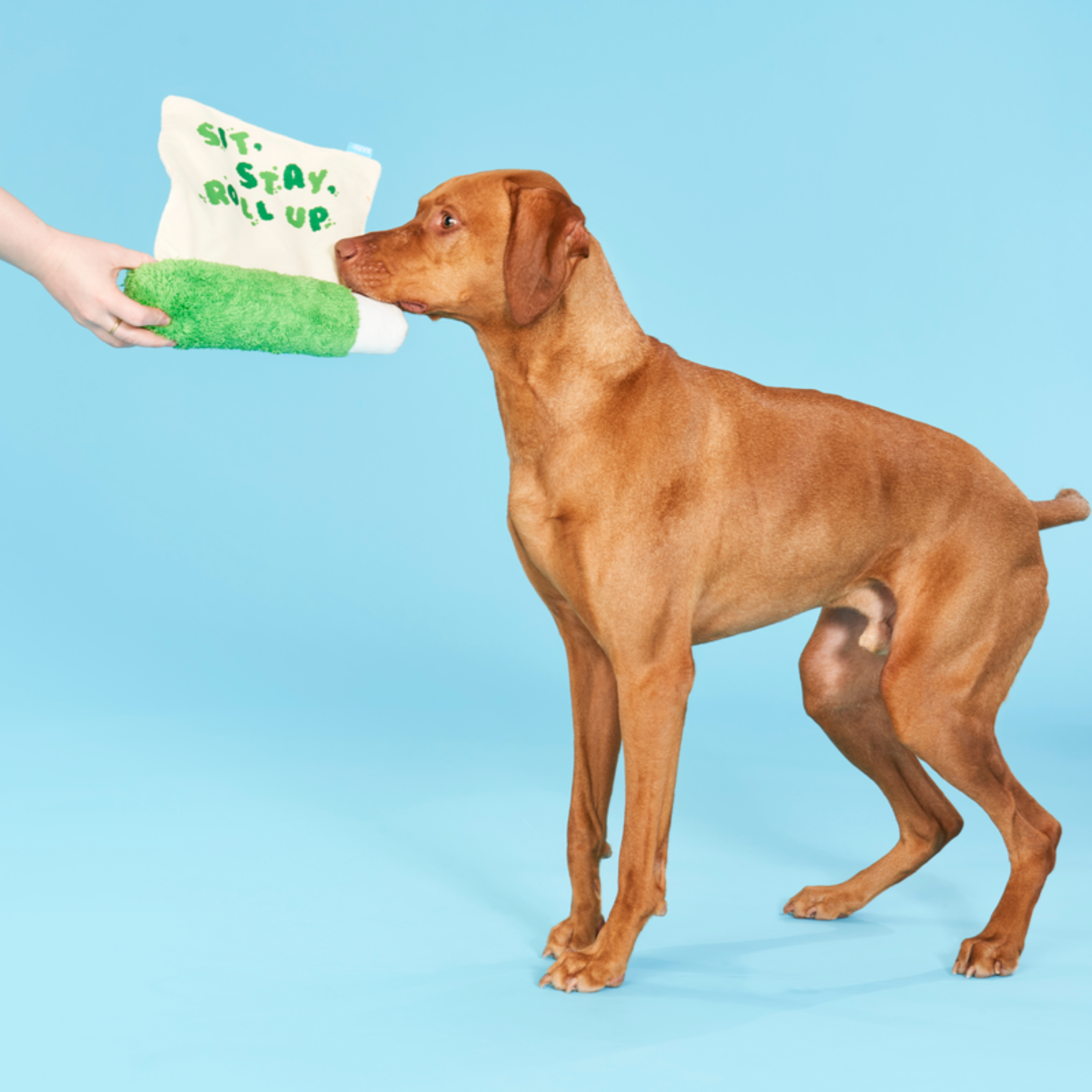 Lickety Spliff Plush Tug Dog Toy