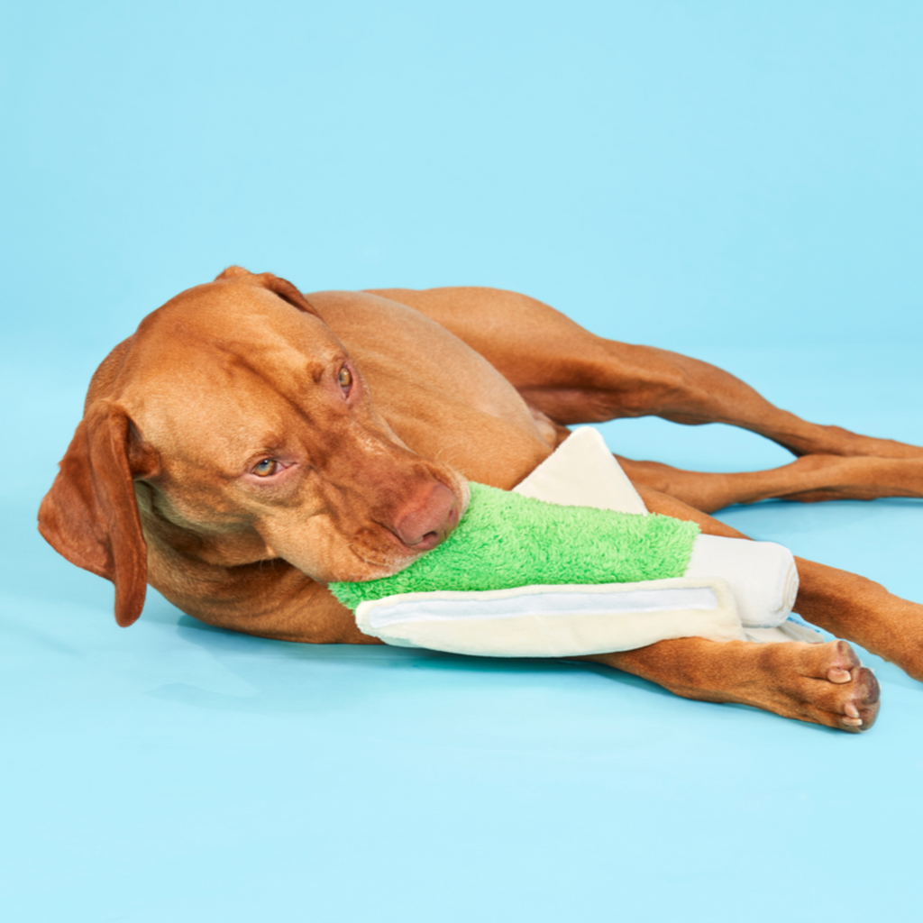 Lickety Spliff Plush Tug Dog Toy