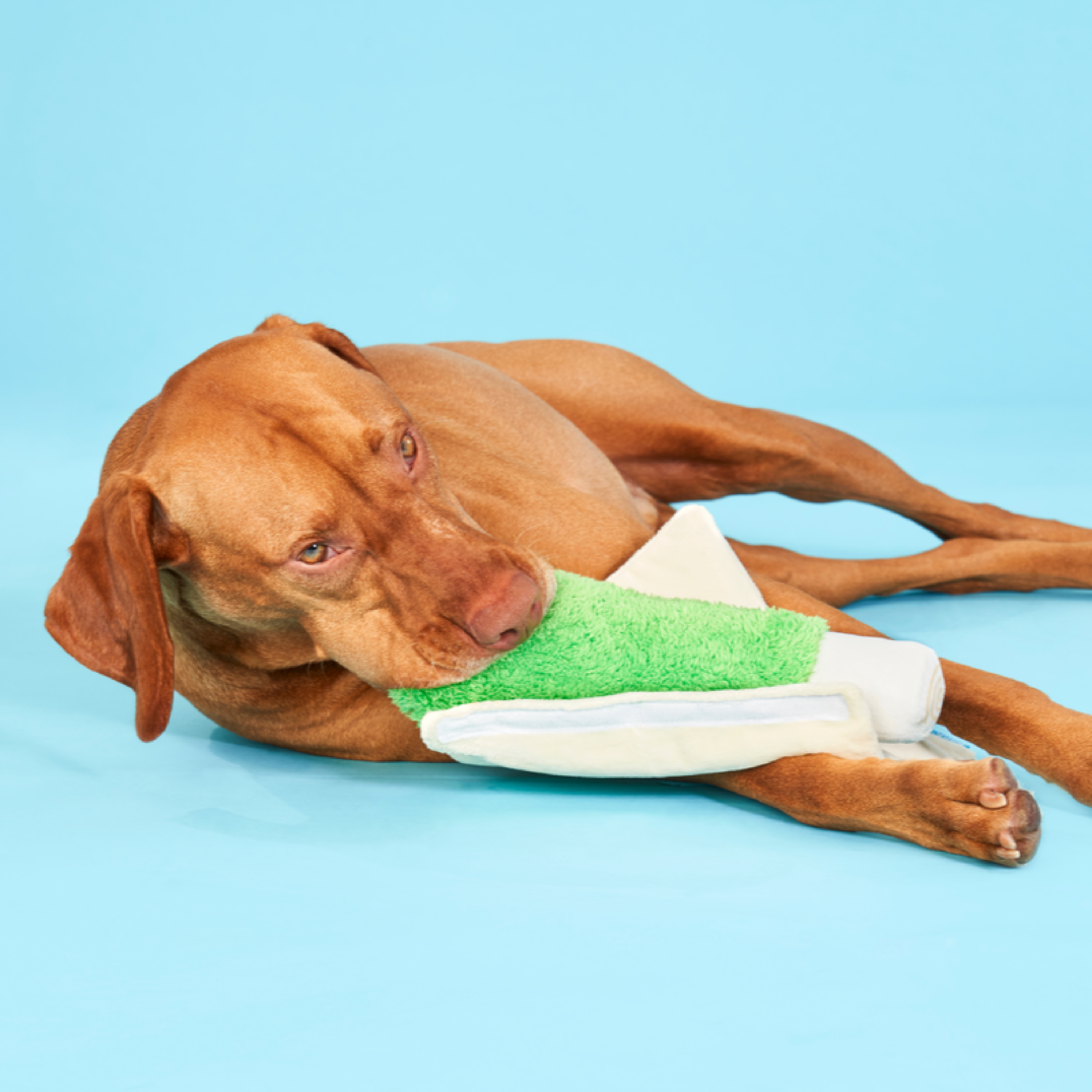 Lickety Spliff Plush Tug Dog Toy