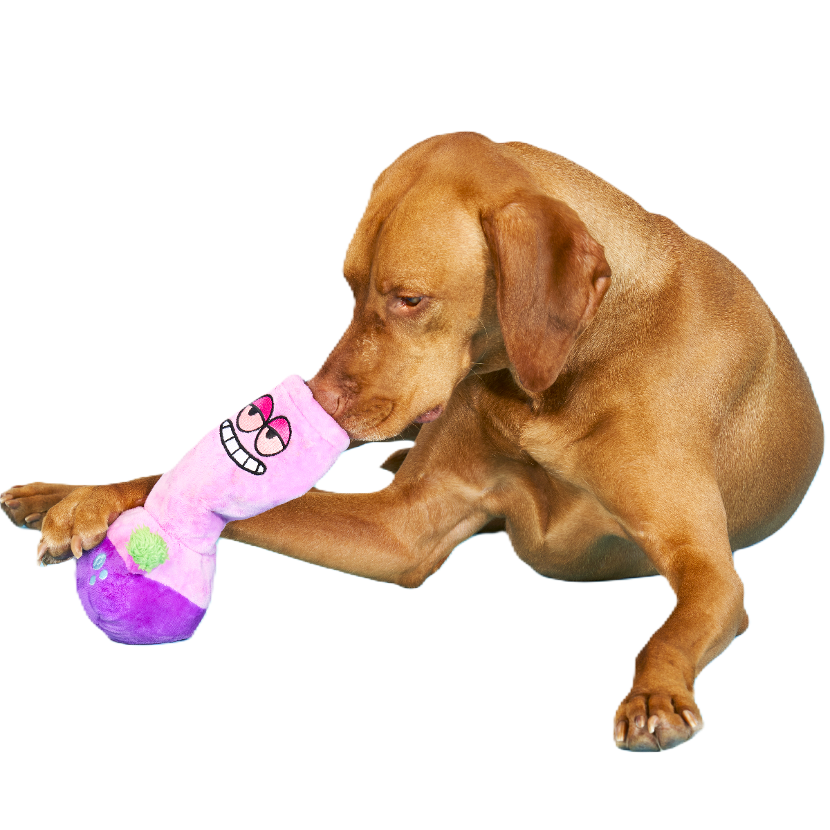 Give A Dog A Bong Plush Enrichment Dog Toy