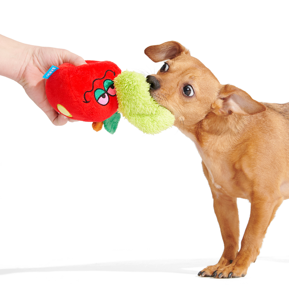 Apple Of My High Plush Tug Dog Toy