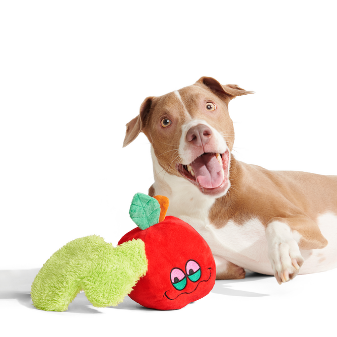 Apple Of My High Plush Tug Dog Toy