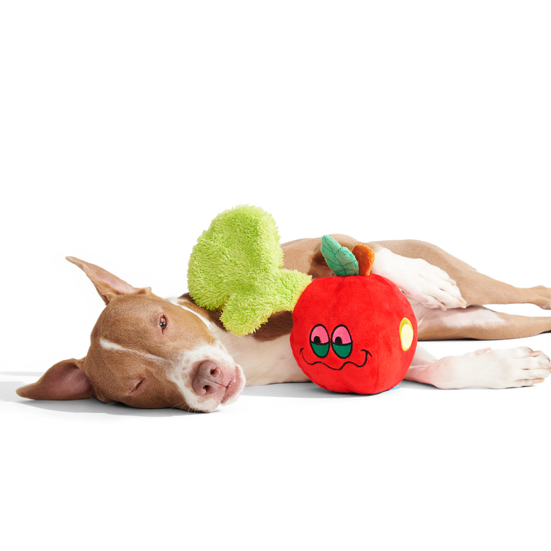 Apple Of My High Plush Tug Dog Toy