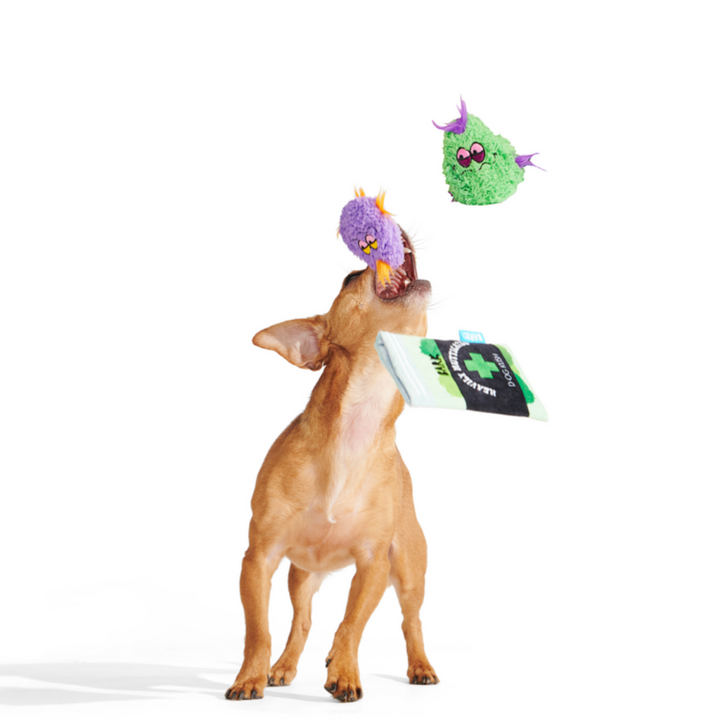 (D)OG Kush Nugs Plush Enrichment + Multi-Part + Fetch Dog Toy