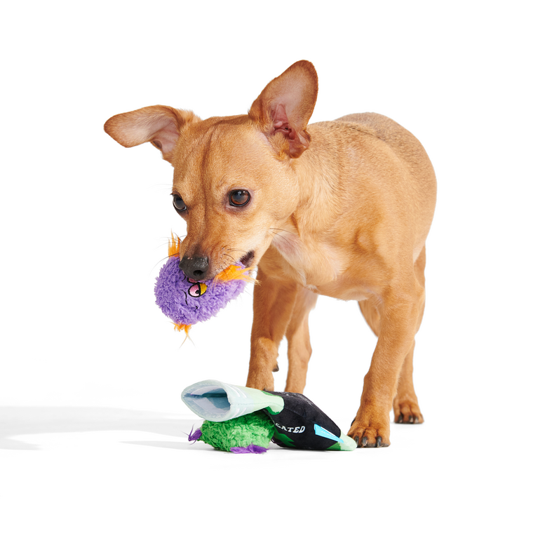 (D)OG Kush Nugs Plush Enrichment + Multi-Part + Fetch Dog Toy