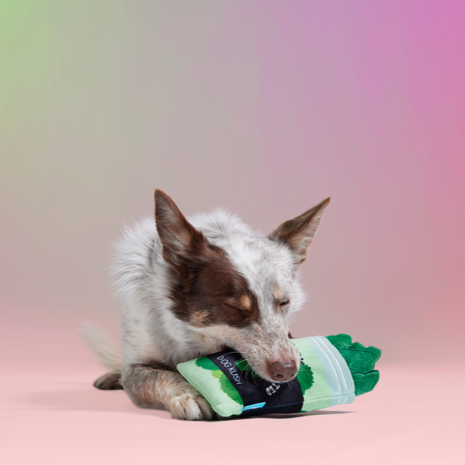 (D)OG Kush Nugs Plush Enrichment + Multi-Part + Fetch Dog Toy