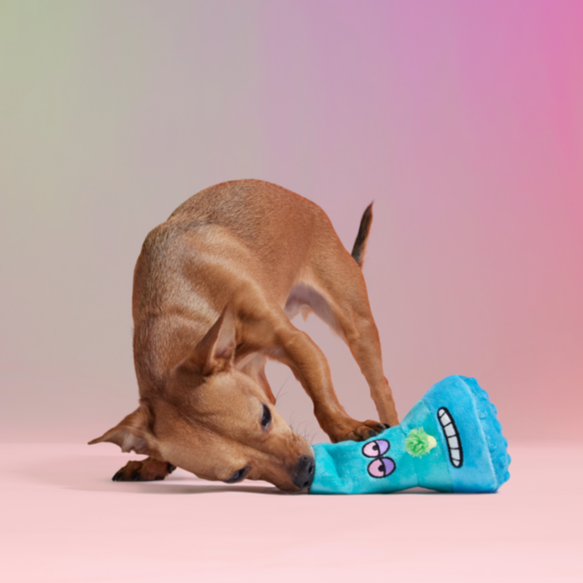 B-O-N-G-O Plush Enrichment Dog Toy