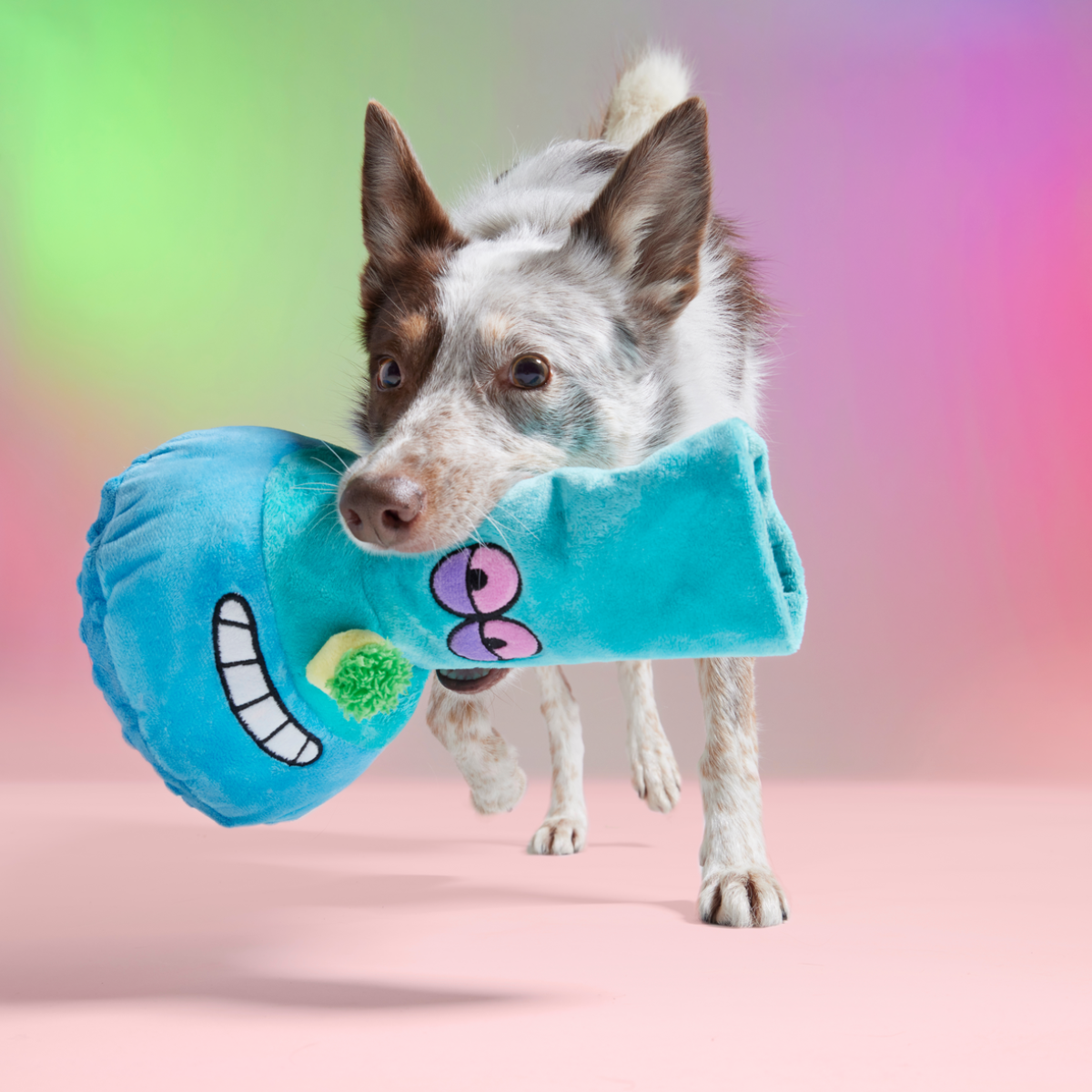 B-O-N-G-O Plush Enrichment Dog Toy
