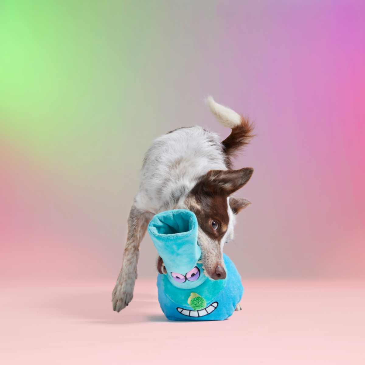 B-O-N-G-O Plush Enrichment Dog Toy