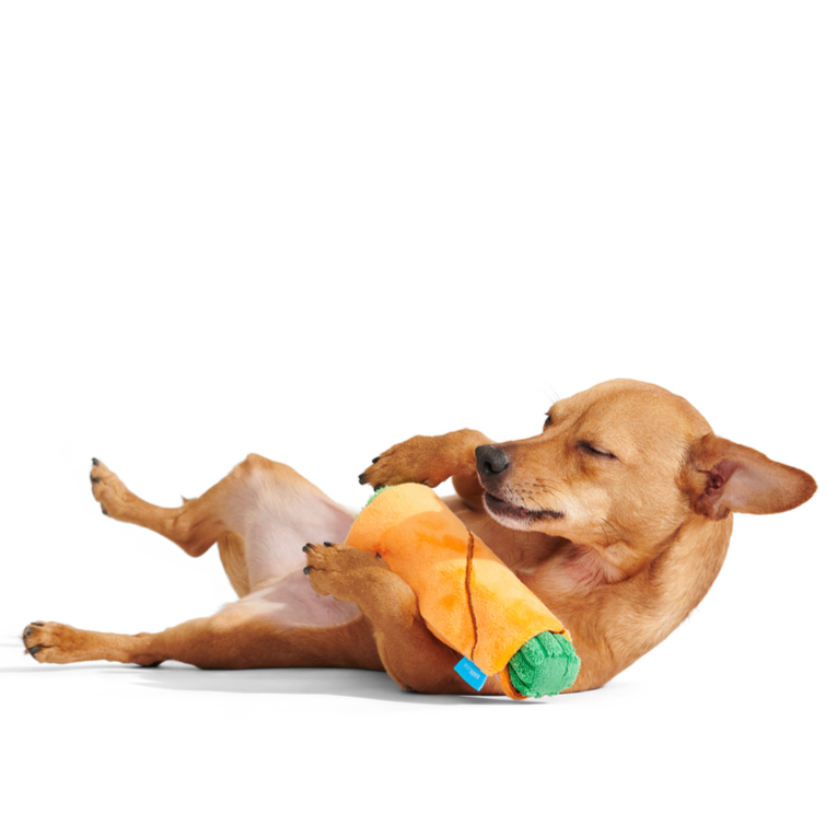 Blunt Hound Plush Enrichment Dog Toy