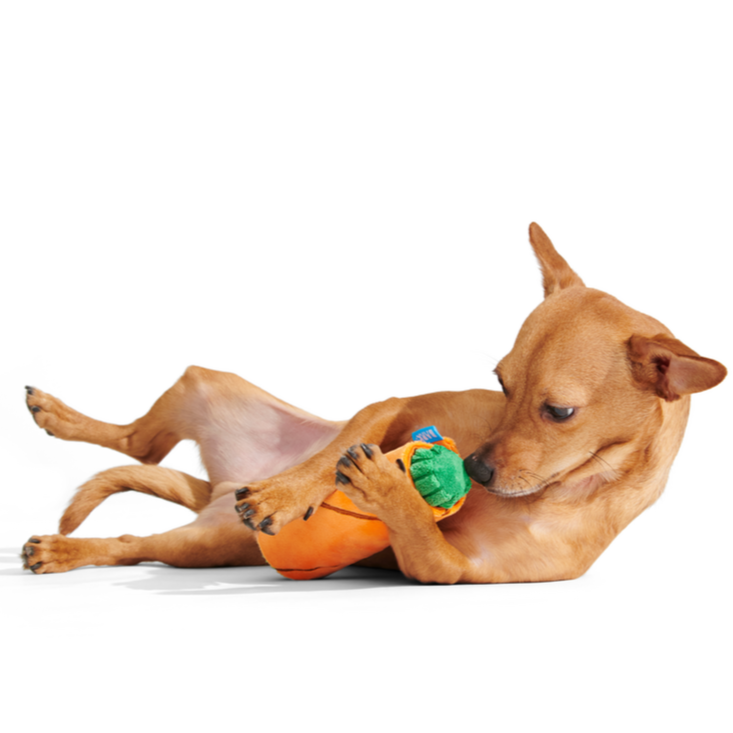 Blunt Hound Plush Enrichment Dog Toy