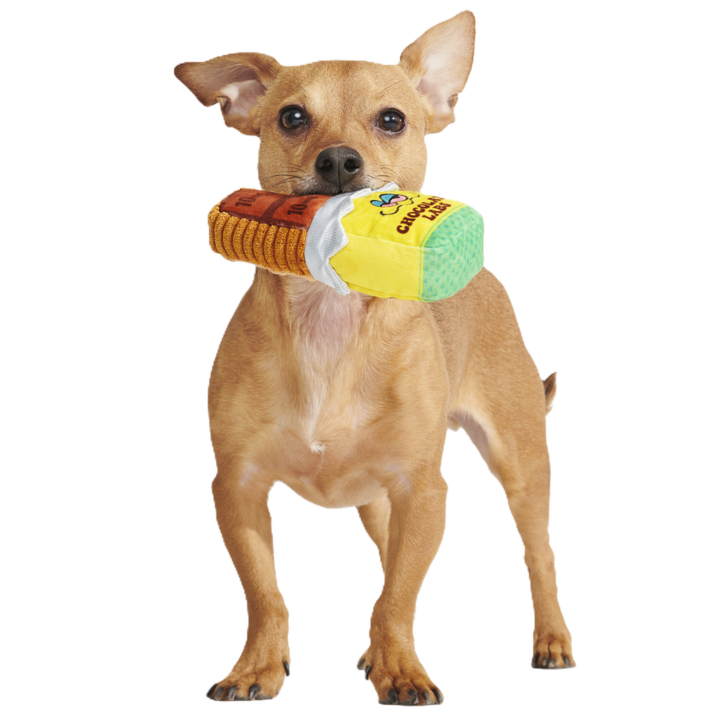 Dank Chocolate Plush Dog Toy