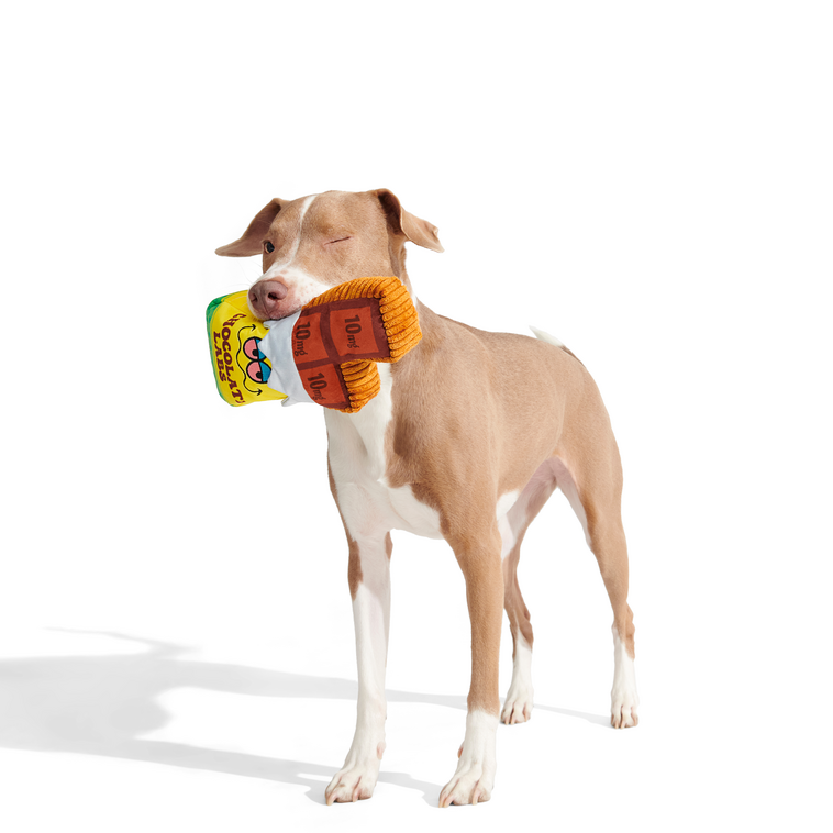 Dank Chocolate Plush Dog Toy