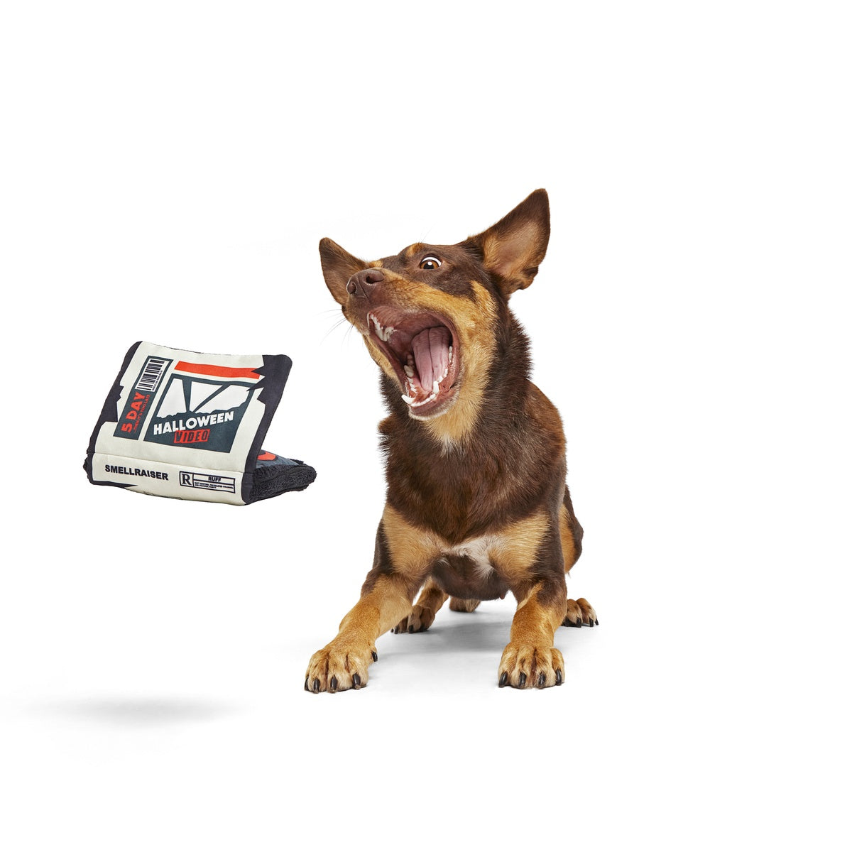 Video Cursette Plush Tug + Enrichment Dog Toy