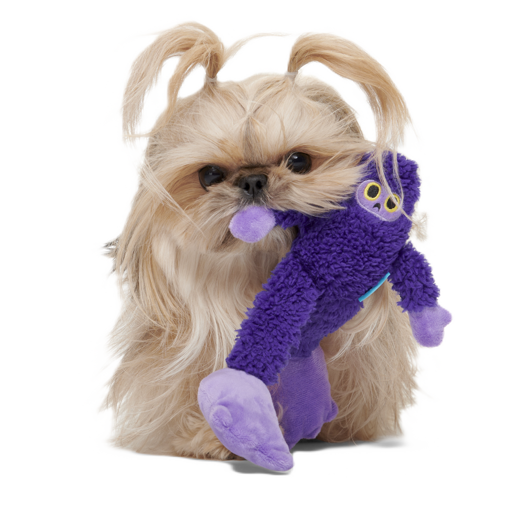 Buddy Bigfoot Plush Tug Dog Toy