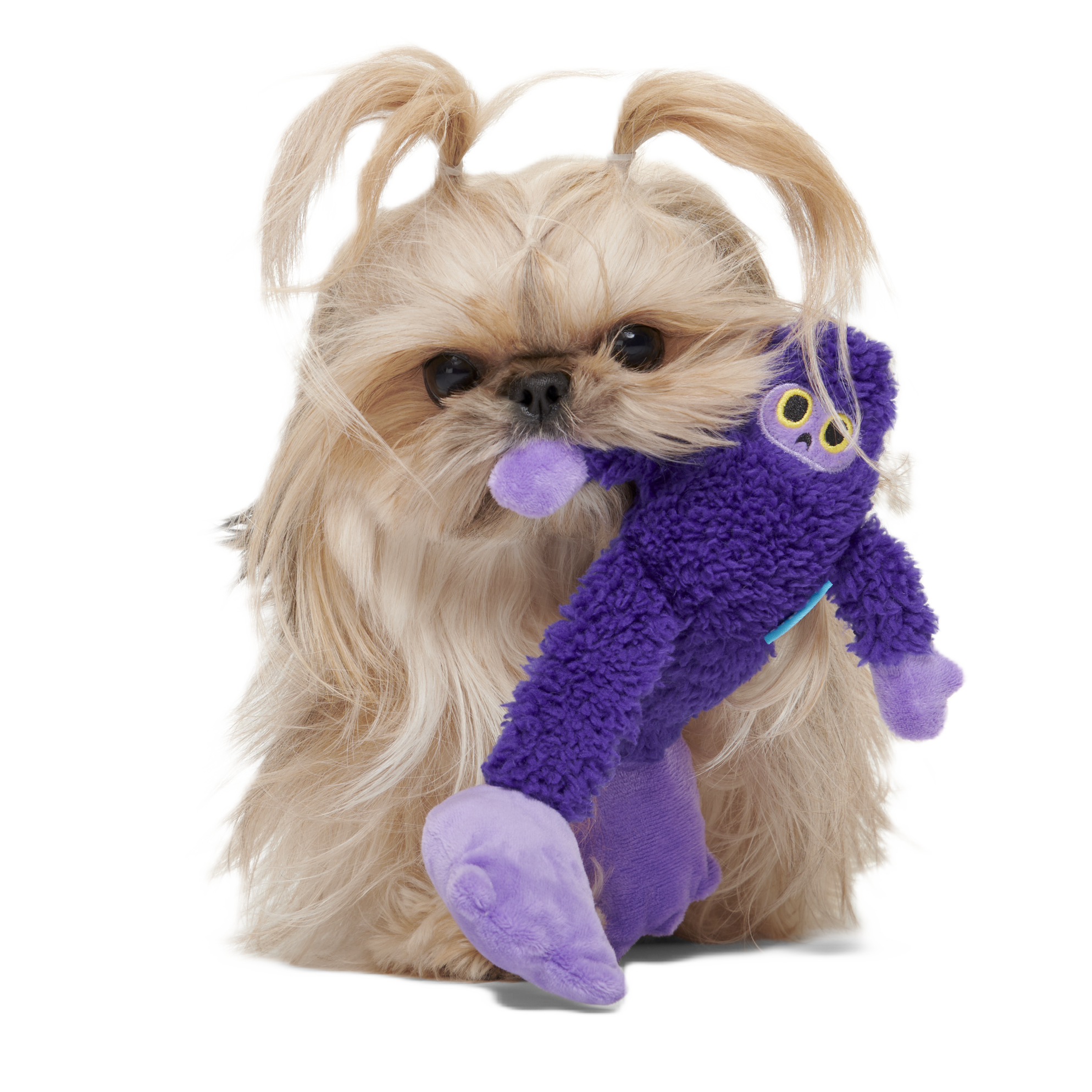 Buddy Bigfoot Plush Tug Dog Toy