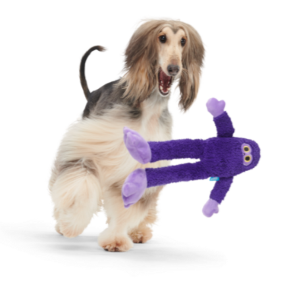 Buddy Bigfoot Plush Tug Dog Toy