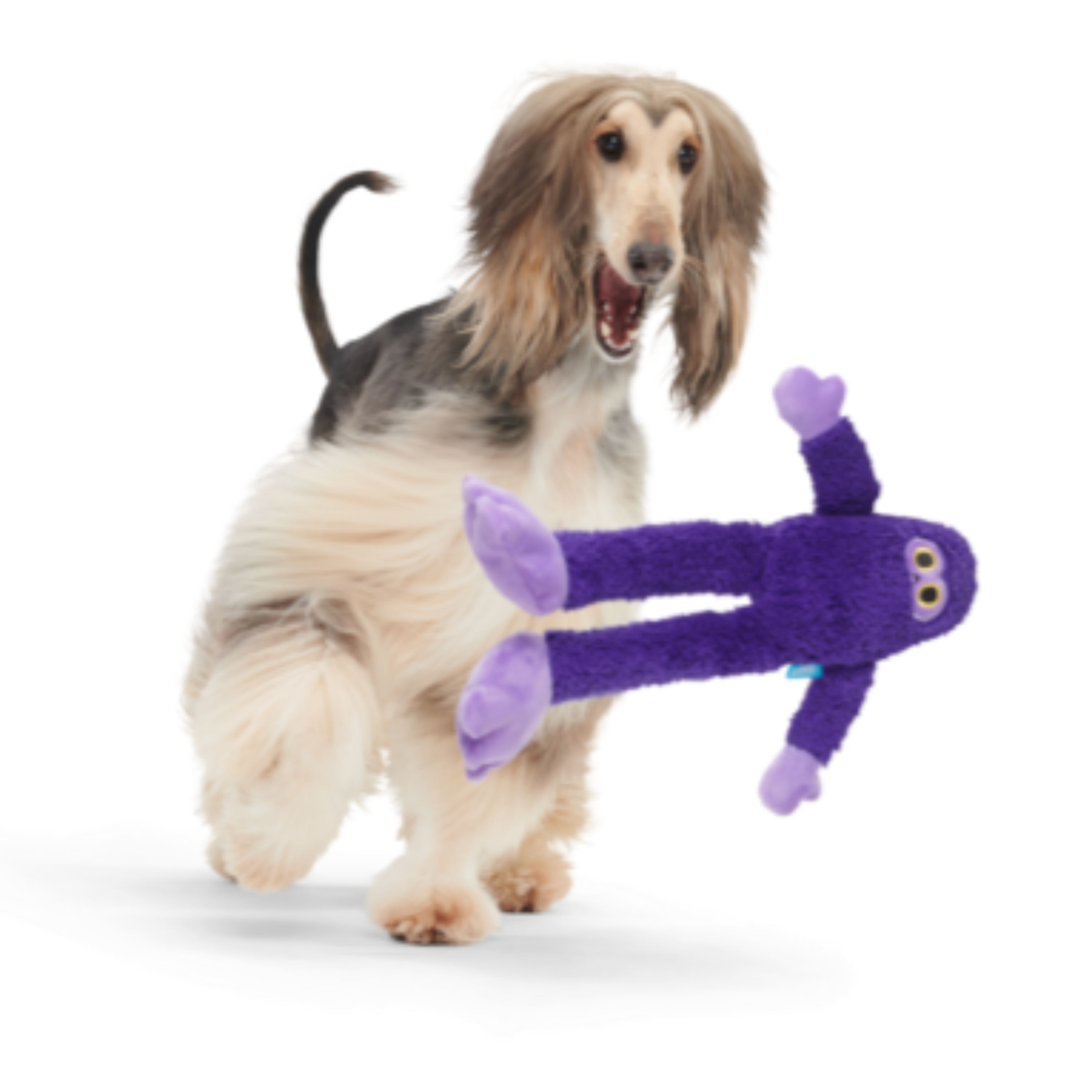 Buddy Bigfoot Plush Tug Dog Toy