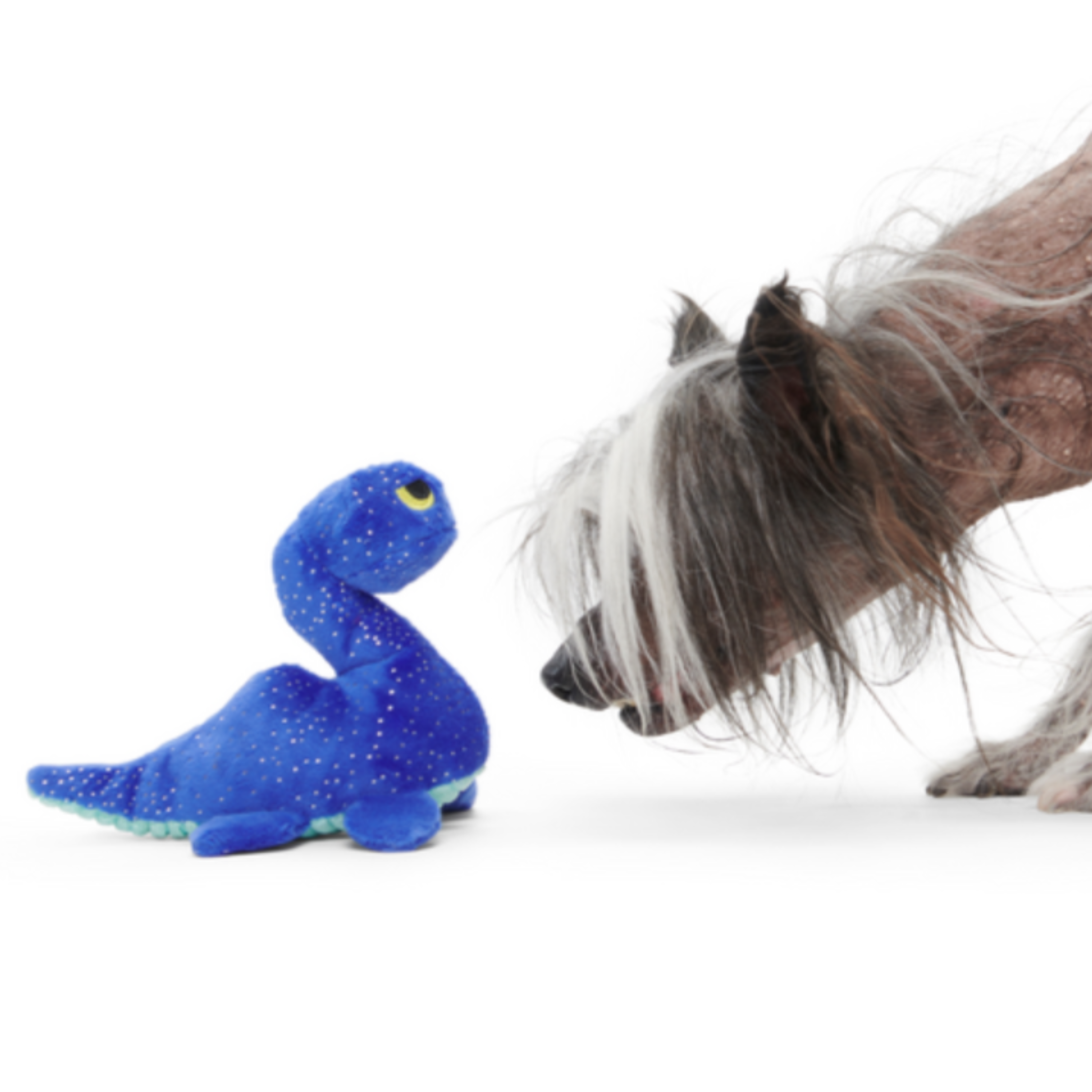 Luke Ness Monster Plush Tug Dog Toy