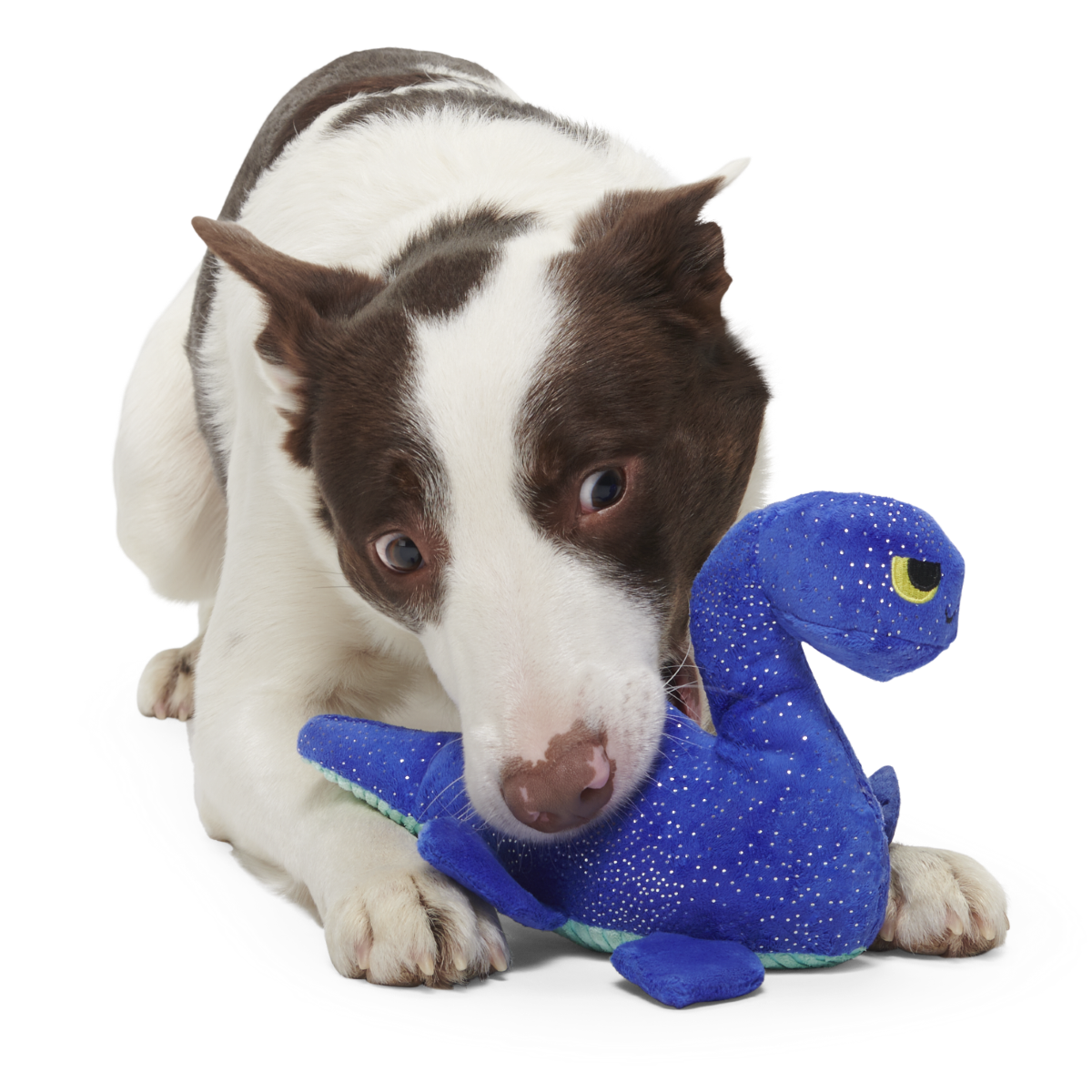 Luke Ness Monster Plush Tug Dog Toy
