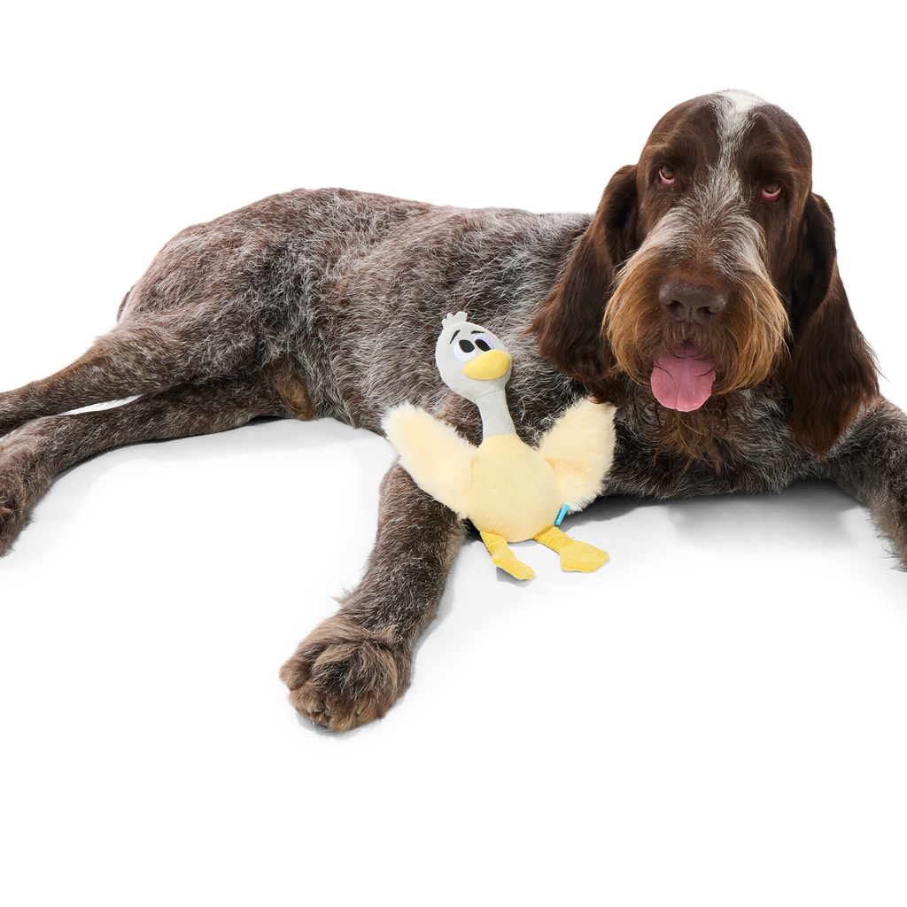 Lucy Goosey Plush Tug Dog Toy