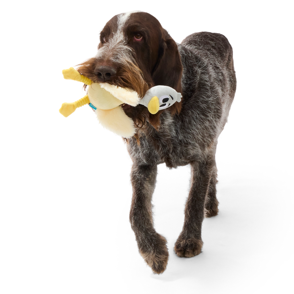 Lucy Goosey Plush Tug Dog Toy