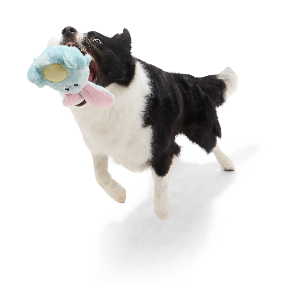 Eavesdropper Evie Plush Tug Dog Toy