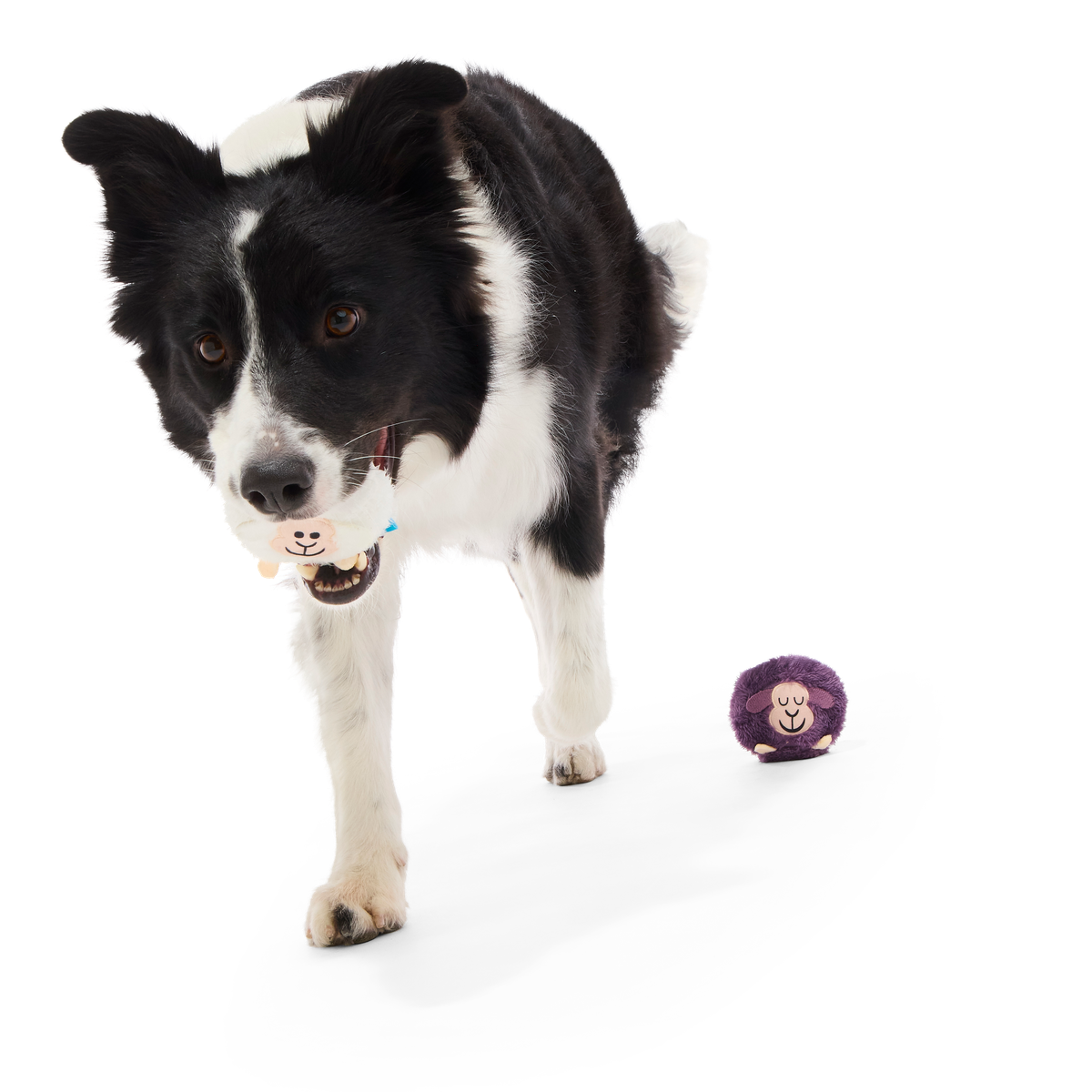 Good Sheep, Baa Sheep Plush Multi-Part Fetch Dog Toy