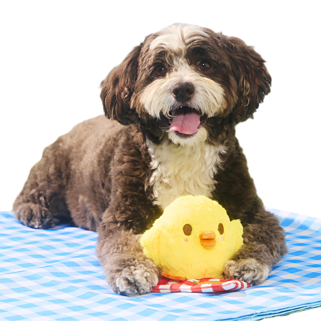 Chick-Nic Plush Tug Dog Toy