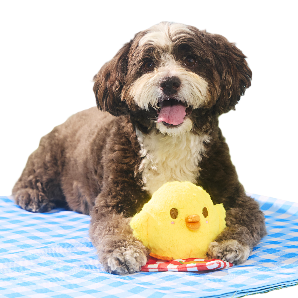 Chick-Nic Plush Tug Dog Toy