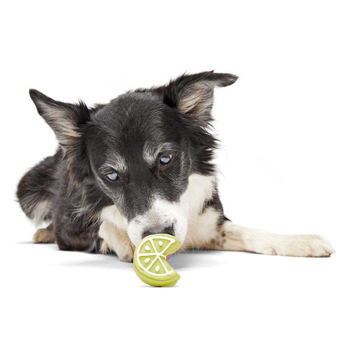 Lime Time Vegetarian Hard & Crunchy Dog Treat Cookie