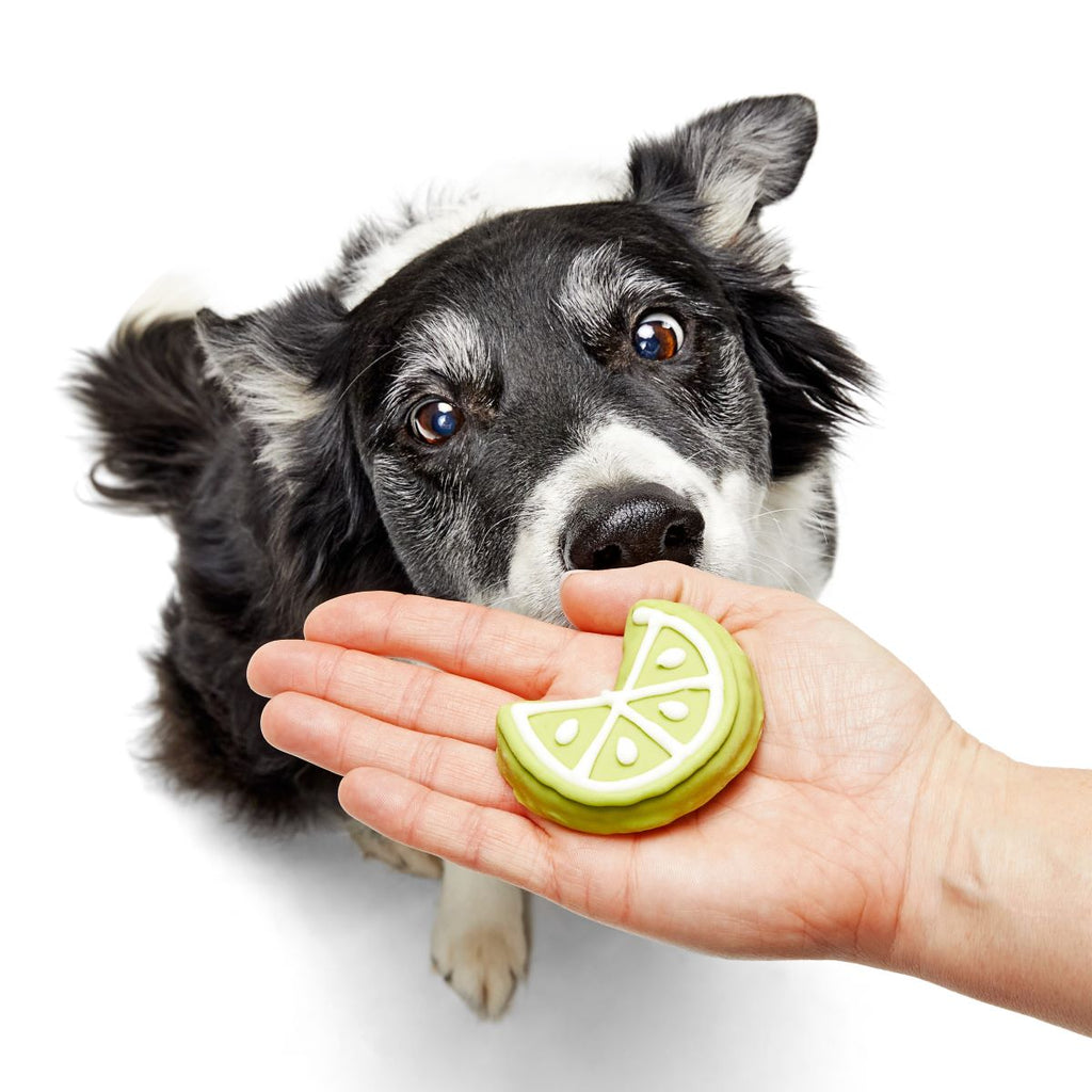 Lime Time Vegetarian Hard & Crunchy Dog Treat Cookie