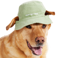 Blunt Hound Bucket Dog Hat