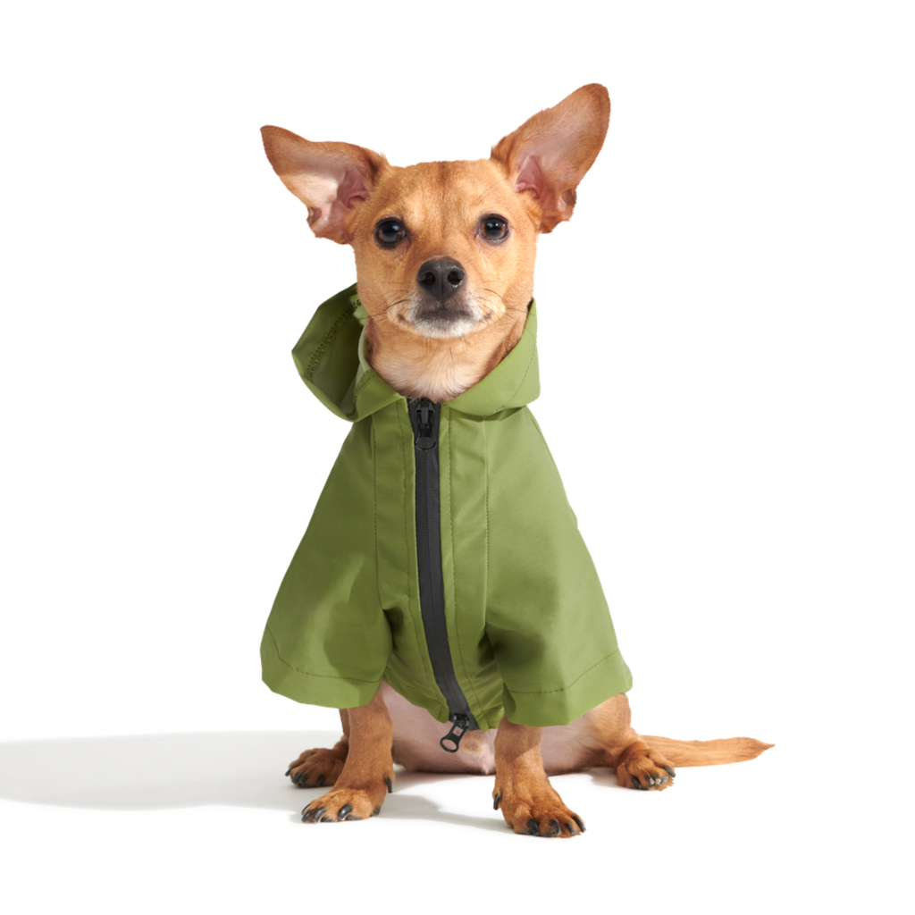 The Dry Dog Raincoat