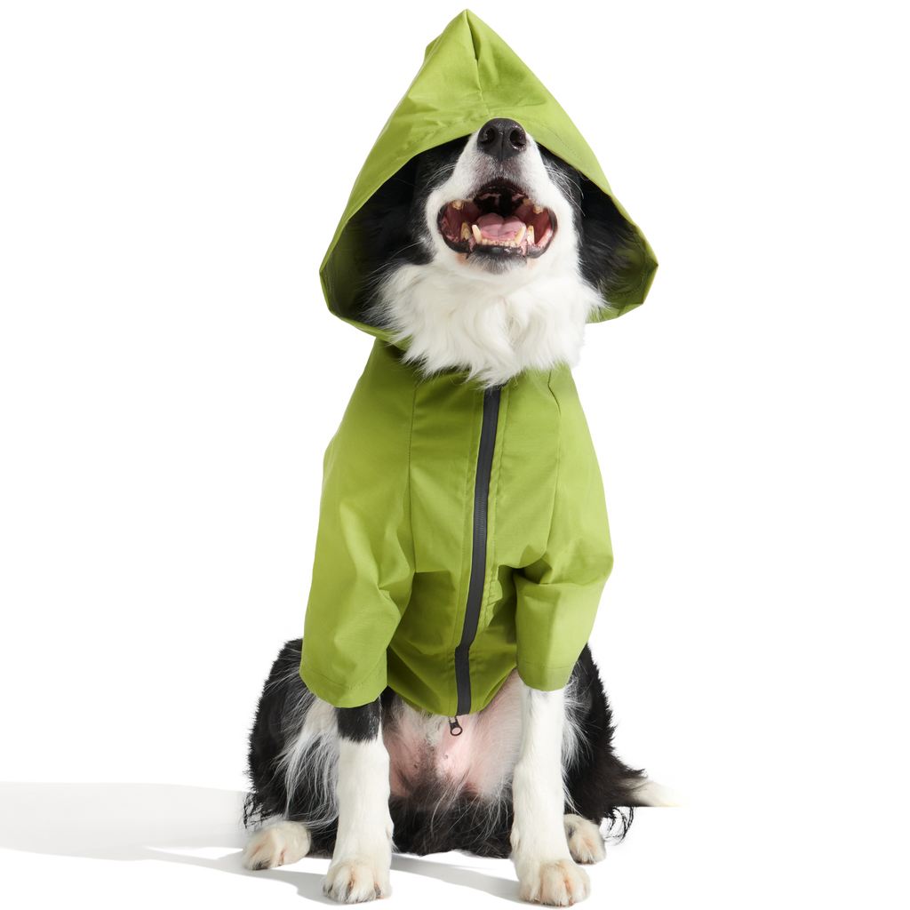The Dry Dog Raincoat